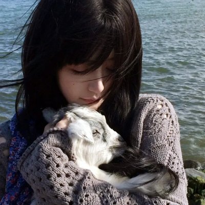 红蓝大作战第十七季